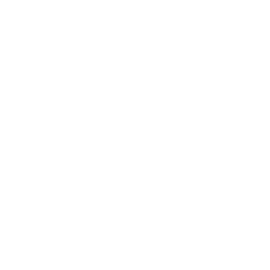 Fenix link