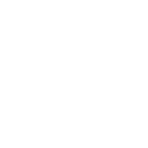 Rostec Digital